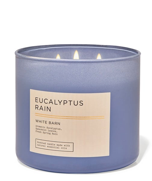 Eucalyptus Rain by Bath & Body Works